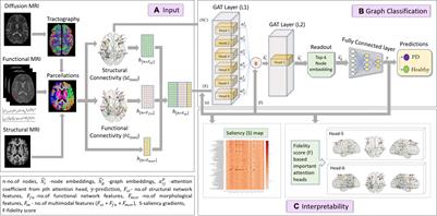 Multimodal Brain Connectomics-Based Prediction of Parkinson’s Disease Using Graph Attention Networks